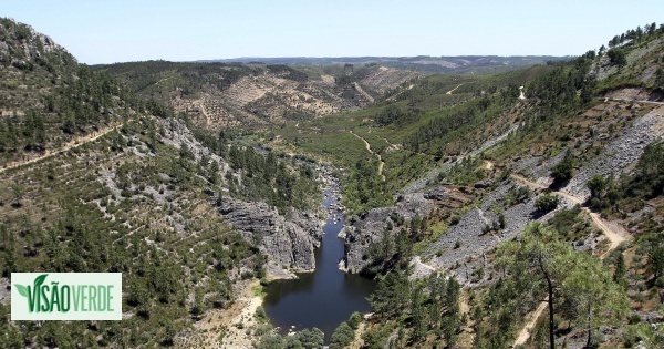 Les écologistes appellent le gouvernement à mettre fin à la pollution de la rivière Ocreza